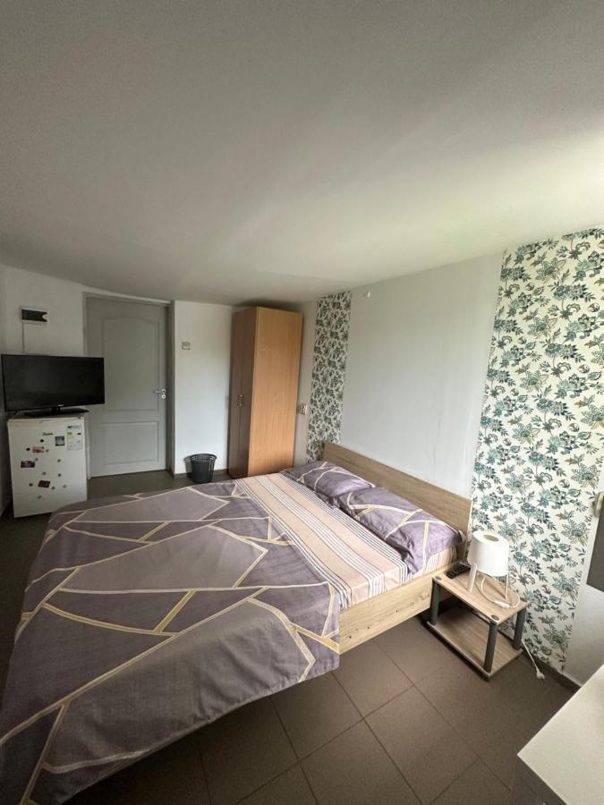 Camere De Inchiriat David Casa David Corbu Zewnętrze zdjęcie