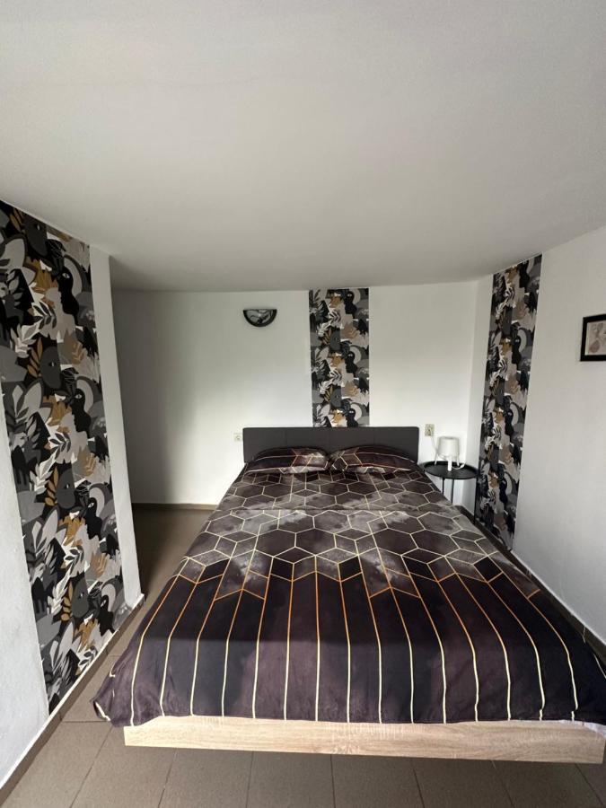 Camere De Inchiriat David Casa David Corbu Zewnętrze zdjęcie